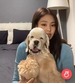 把助理当狗的女明星,揭秘女明星的惊人言行